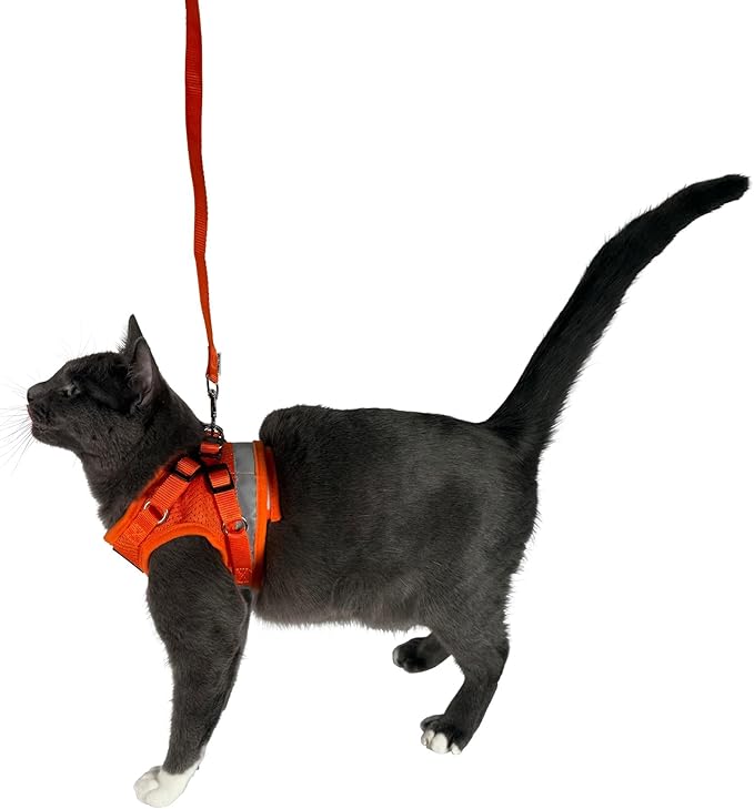 Travel Cat Harness and Leash Set - Adjustable Fit Mesh Cat Harness and Reflective Strap - Comfort Walking Vest for Kitten for Outdoor Walking, Hiking (Large, Orange)