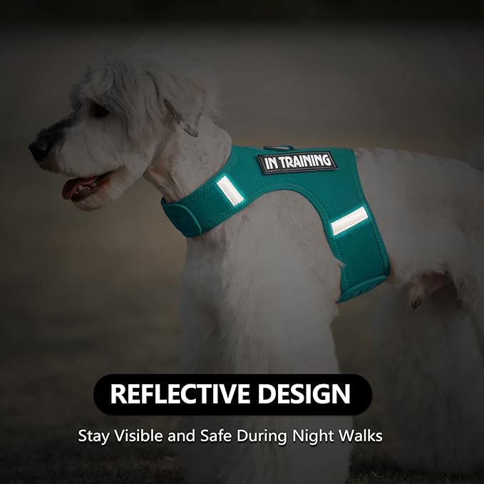 Dog Harness for Puppy – Adjustable Reflective Easy Put On Soft Mesh Vest for Small Dogs with 2 Patches (MARRS Green,S)