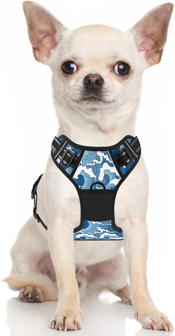 Rnivvi No Pull Dog Harness, Cute Reflective Small Sized Puppy Kitten Harness, Adjustable Soft Padded Vest for Small Dogs, Cats, Heavy Duty Pet Vest with Easy Control Handle for Walking, Japanese Style