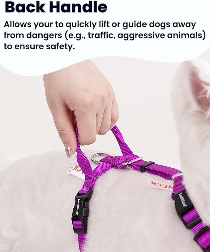 Non Restrictive Dog Harness Medium Size, Easy Walk Freedom No Pull, Keep Balance, Lightweight, Neck Buckle, 2 Clips for Back/Front Clip, Sewn-in Instructions Labels for Easy Use, Purple