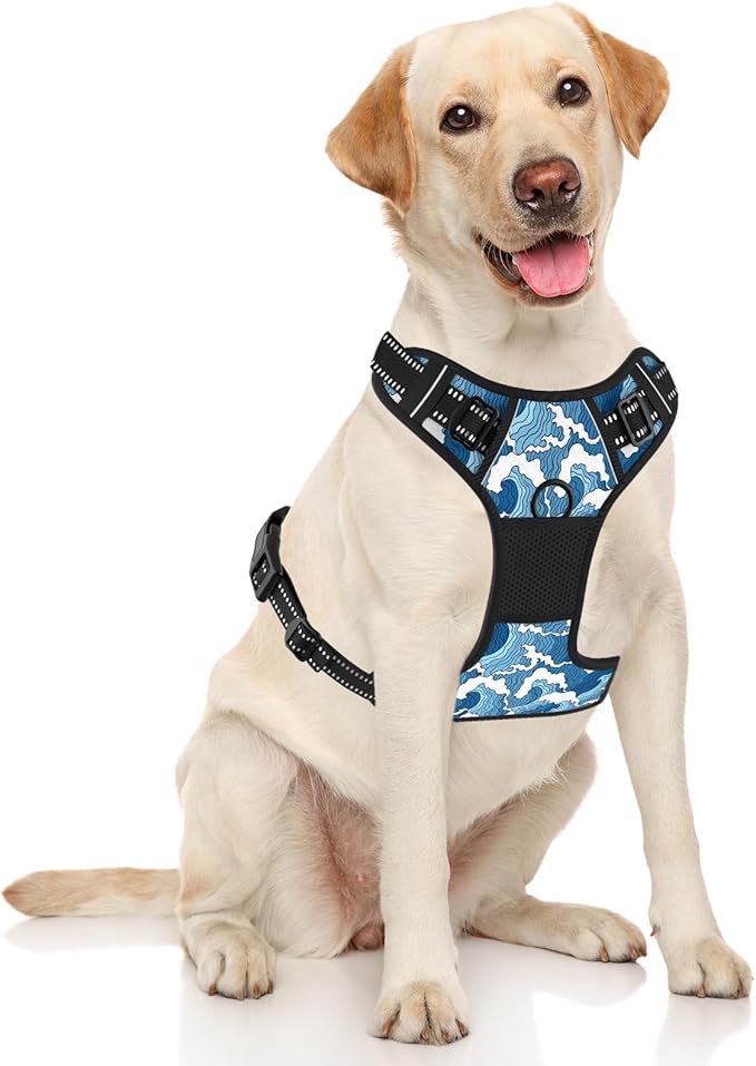 Rnivvi No Pull Dog Harness, Cute Reflective X-Large Sized Puppy Harness, Adjustable Soft Padded Vest for Large Dogs, Heavy Duty Pet Vest with Easy Control Handle for Walking Training, Japanese Style