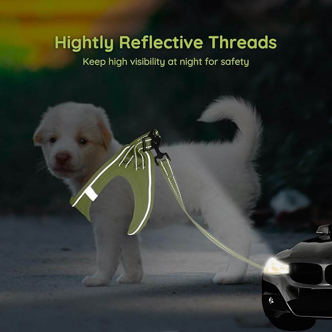 BELLA & PAL Step in Vest Harness for Small and Medium Dogs, No Pull Small Dog Harness with Leash Set, Comfortable Air Mesh Dog Vest Harness with Reflective Strip (Avocado Green, XS)