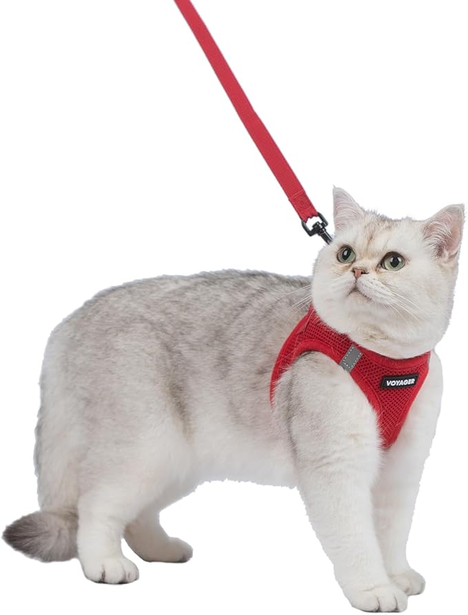 Voyager Step-in Pet Harness - All Weather Mesh, Adjustable Step in Harness for Cats and Dogs by Best Pet Supplies - 307S Red, XS