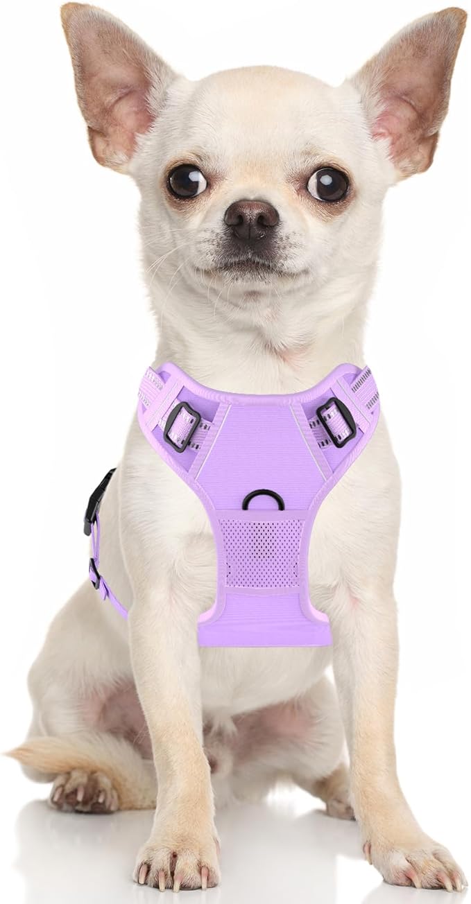 Rnivvi No Pull Dog Harness, Cute Reflective Extra Small Sized Puppy Kitten Harness, Adjustable Soft Padded Vest for Small Dogs, Cats, Heavy Duty Pet Vest with Easy Control Handle for Walking, Purple