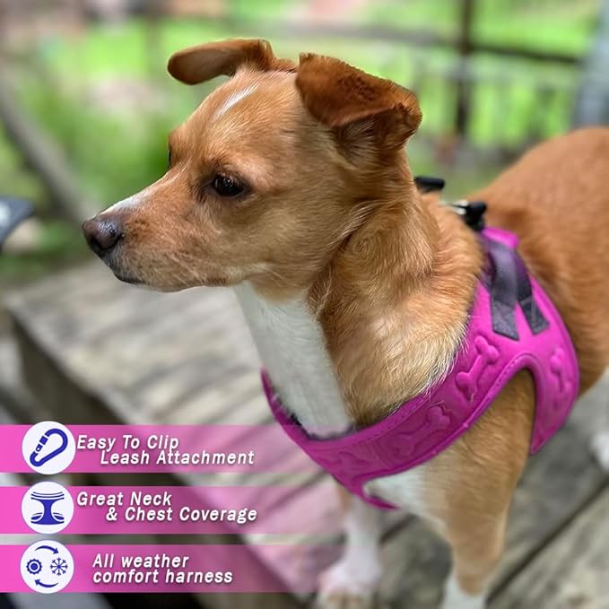 Comfort Fit No Pull Dog Harness for Small Medium & Large Dogs – Soft Padded Adjustable Buckles Step in Pet Harness with Leash Clips Reflective Straps with Easy Control & Handle Pet Vest Harness
