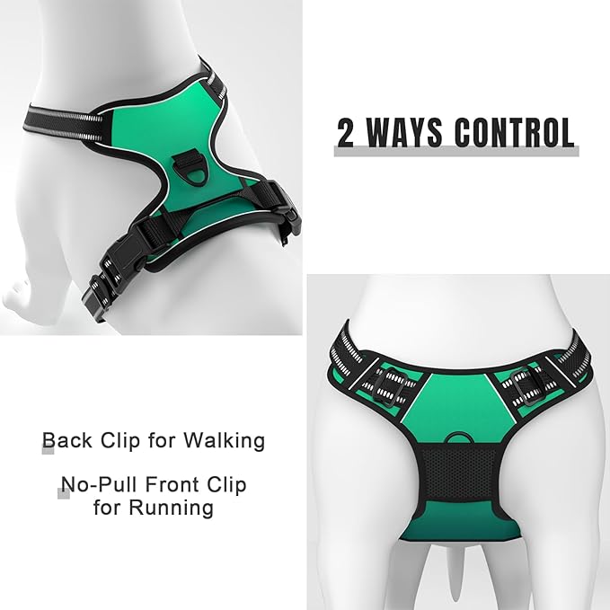 Rnivvi No Pull Dog Harness, Cute Reflective Large Sized Puppy Harness, Adjustable Soft Padded Vest for Large Dogs, Heavy Duty Pet Vest with Easy Control Handle for Walking Training, Gradient Green