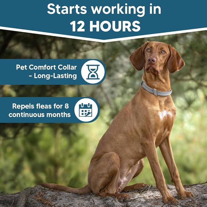 Dog Flea Collar,Flea and Tick Collars for Dog,Natural Ingredients,Adjustable,8 Months Protection-2P