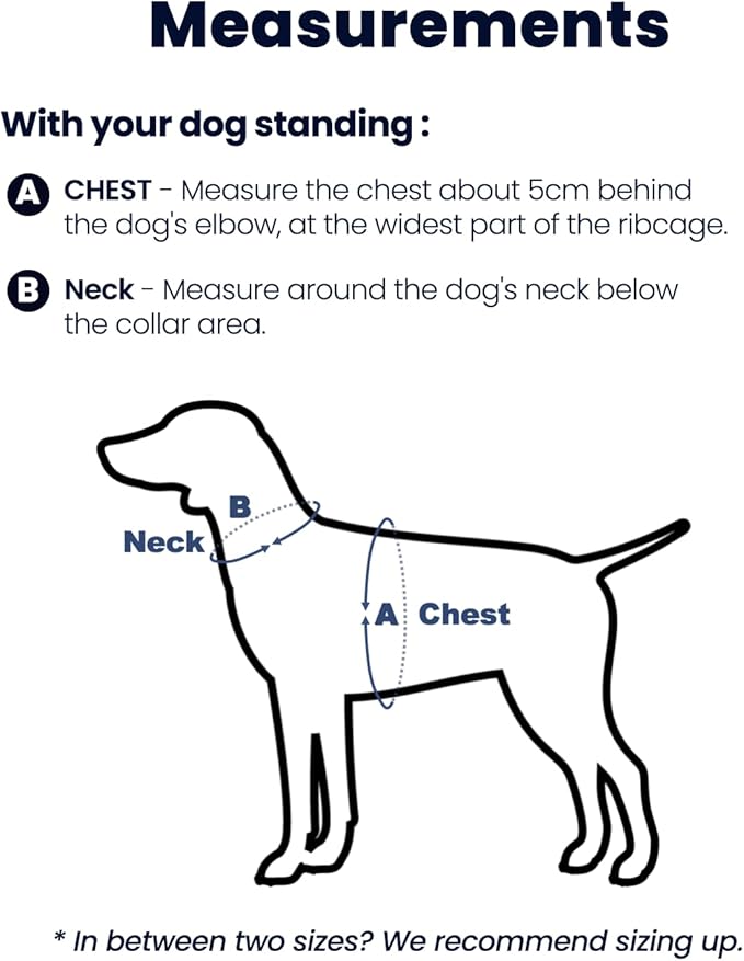 Non-Restrictive Dog Harness, Easy Walk Freedom No Pull Harness, Keep Balance, Neck-Buckle, Six Points Adjustment, 2 Leash Clips for Back and Front Clip (Red/Black, Large)