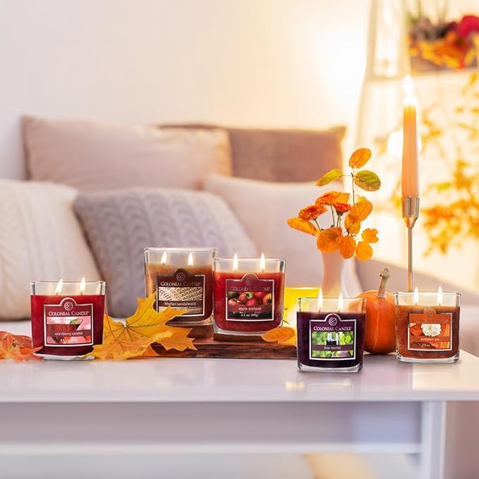 Colonial Candle Fine Merlot Scented Jar Candle, 2 Wick, 3.5 oz, Mottled Wax Candle