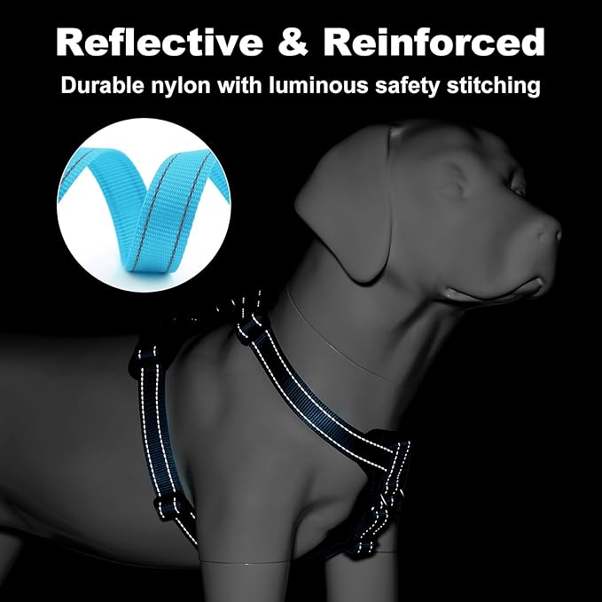 Plutus Pet Adjustable No Pull Dog Harness with Leather Accents, Heavy Duty Reflective Nylon Vest for Training, Hiking, Easy Walk Harness for Small, Medium, Large Dogs (Light Blue, S)