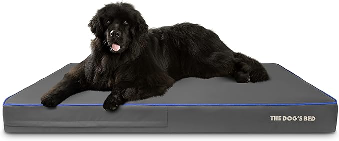 The Dog’s Bed Orthopedic Memory Foam Dog Bed, XXXL Grey/Blue 64x44, Pain Relief for Arthritis, Hip & Elbow Dysplasia, Post Surgery, Lameness, Supportive, Calming, Waterproof Washable Cover