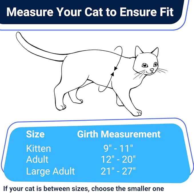 Houdini™ Escape Proof Cat Harness and Leash Set by OutdoorBengal – Turquoise, Medium Cat Harness for Walking