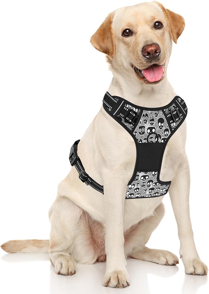 Rnivvi No Pull Dog Harness, Cute Reflective X-Large Sized Puppy Harness, Adjustable Soft Padded Vest for Large Dogs, Heavy Duty Pet Vest with Easy Control Handle for Walking Training, Black Skull