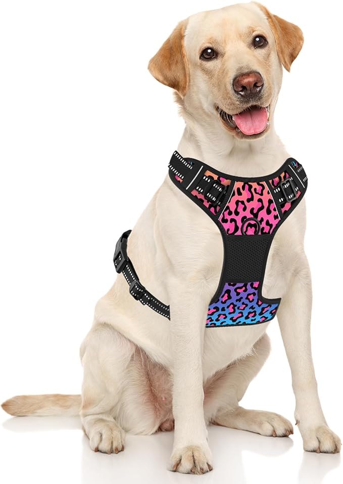 Rnivvi No Pull Dog Harness, Cute Leopard Reflective X-Large Sized Puppy Harness, Adjustable Soft Padded Vest for Large Dogs, Heavy Duty Pet Vest with Easy Control Handle for Walking Training, Neon