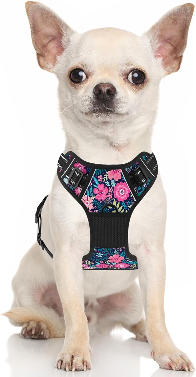 Rnivvi No Pull Dog Harness, Cute Flower Reflective X-Small Sized Puppy Harness, Adjustable Soft Padded Vest for Small Dogs, Cats, Heavy Duty Pet Vest with Easy Control Handle for Walking, Elegant