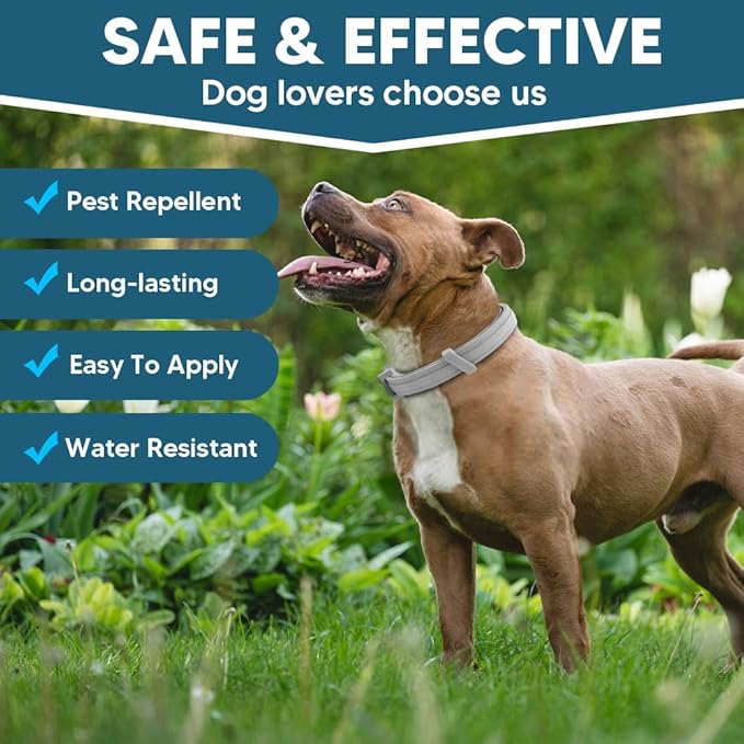Dog Flea Collar,Flea and Tick Collars for Dog,Natural Ingredients,Adjustable,8 Months Protection-2P