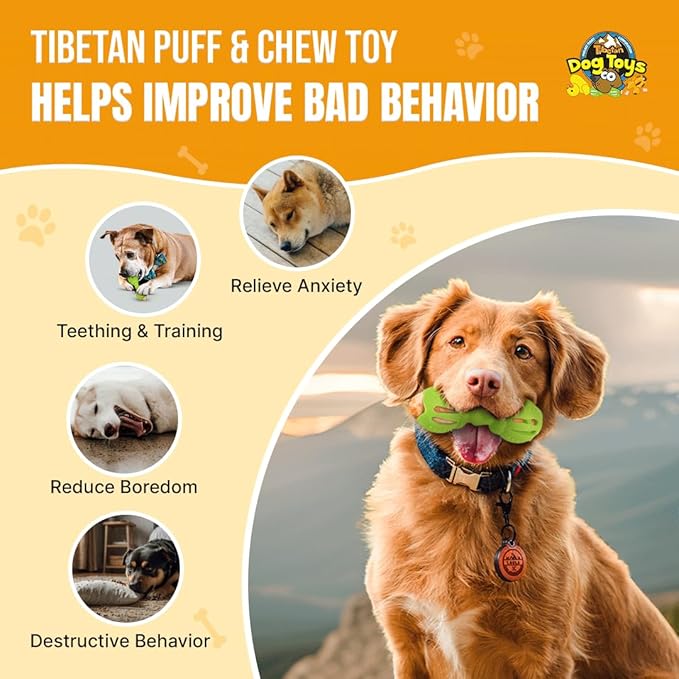 Tibetan Dog Chew Yak Cheese Puff & Chew - Fun Interactive Treat Dispenser Toy for Dogs - Training, Teething, Calming, Mental Stimulation - Bone Dumbbell - Fluorescent Green (1 Toy, 5 Nuggets)