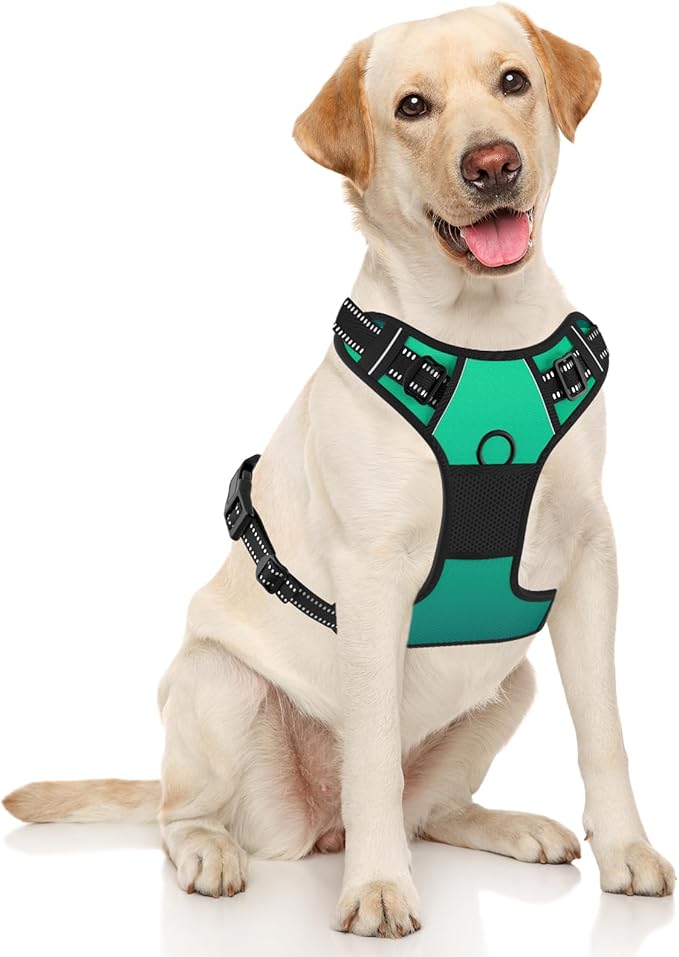 Rnivvi No Pull Dog Harness, Cute Reflective Large Sized Puppy Harness, Adjustable Soft Padded Vest for Large Dogs, Heavy Duty Pet Vest with Easy Control Handle for Walking Training, Gradient Green