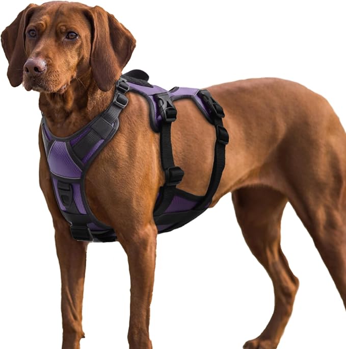 AUROTH Escape Proof Dog Harness - No Pull with Lift Handle, Soft Padded Reflective Adjustable Vest, Large for Walking, Hiking, Training