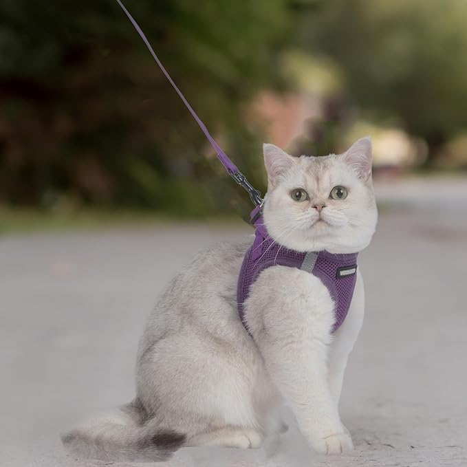 Voyager Step-in Pet Harness - All Weather Mesh, Adjustable Step in Harness for Cats and Dogs by Best Pet Supplies - 307S Purple, XXXS