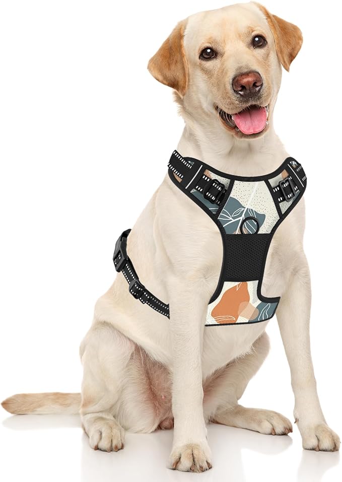 Rnivvi No Pull Dog Harness, Cute Boho Reflective Large Sized Puppy Harness, Adjustable Soft Padded Vest for Large Dogs, Heavy Duty Pet Vest with Easy Control Handle for Walking Training, Leaves