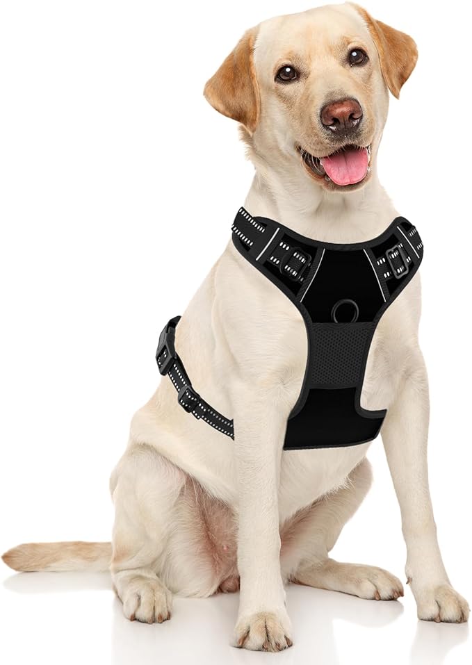 Rnivvi No Pull Dog Harness, Cute Reflective Large Sized Puppy Harness, Adjustable Soft Padded Vest for Large Dogs, Heavy Duty Pet Vest with Easy Control Handle for Walking Training, Black