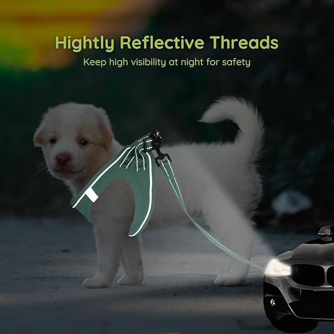 BELLA & PAL Step in Vest Harness for Small and Medium Dogs, No Pull Small Dog Harness with Leash Set, Comfortable Air Mesh Dog Vest Harness with Reflective Strip (Light Green, L)