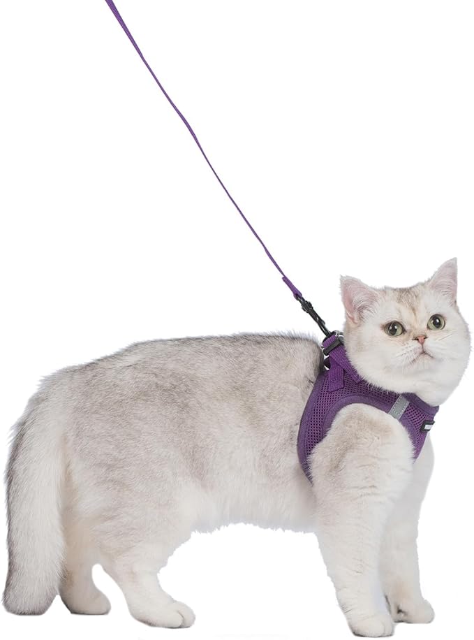 Voyager Step-in Pet Harness - All Weather Mesh, Adjustable Step in Harness for Cats and Dogs by Best Pet Supplies - 307S Purple, XS