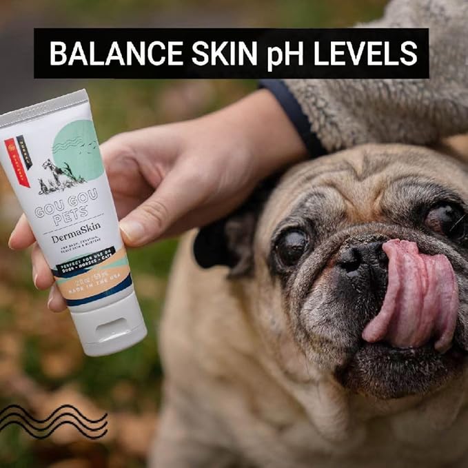 DermaSkin Dermatitis Ointment Holistic Natural Derived Herbal Pet Care for Dogs, Cats and Horses: Relieves Rash, Crusting, Dry Skin, Skin Problems and Skin Conditions - Made in USA - 2 oz