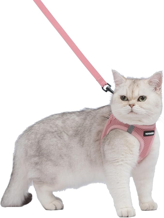 Voyager Step-in Pet Harness - All Weather Mesh, Adjustable Step in Harness for Cats and Dogs by Best Pet Supplies - 307S Pink, XS