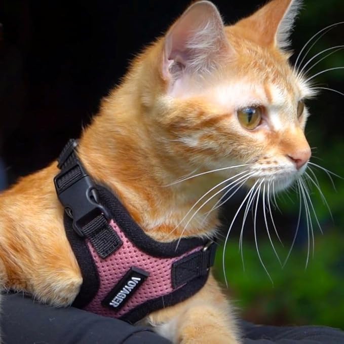 Voyager Step-in Lock Adjustable Cat Harness w. Cat Leash Combo Set with Neoprene Handle 5ft - Supports Small, Medium and Large Breed Cats by Best Pet Supplies - Pink/Black Trim, XS