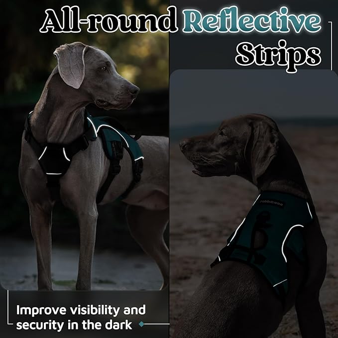 rabbitgoo Escape Proof Dog Harness, Soft Padded Full Body Pet Harness, Reflective Adjustable No Pull Vest with Lift Handle and Leash Clip for Large Dogs Walking Hiking Training, Dark Green, XL