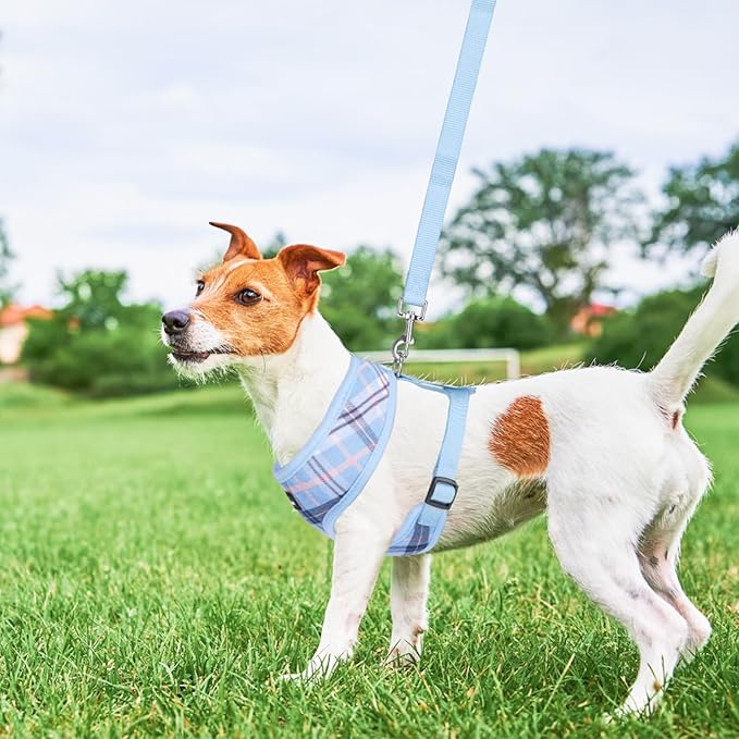 SCENEREAL Puppy Dog Harness with Leash Set for Small Medium Sized Dogs, Soft Mesh Step in Pet Harnesses and Leash, No Chock Plaid Adjustible No Pull Vest for Dogs Cats, Chihuahua,Bulldog (Blue S)