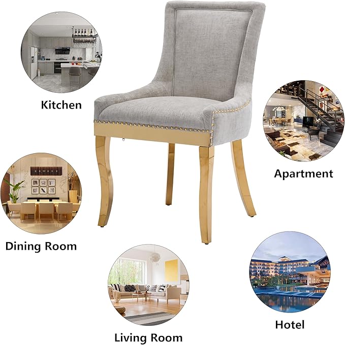 Luxury Fabirc Upholstered Dining Chairs Set of 2,Neutral Chenille Kitchen Room Chair with Nailhead Trim,Modern Padded Side Chairs for Dining Room,Living Room,Bar (Beige-Gold, Set of 2)