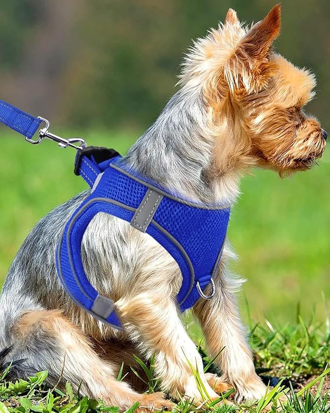 Joytale Small Dog Harness, Breathable Mesh Step-in Vest, Reflective Soft Padded Harnesses Small Sized Dog for Walking, Navy Blue, S