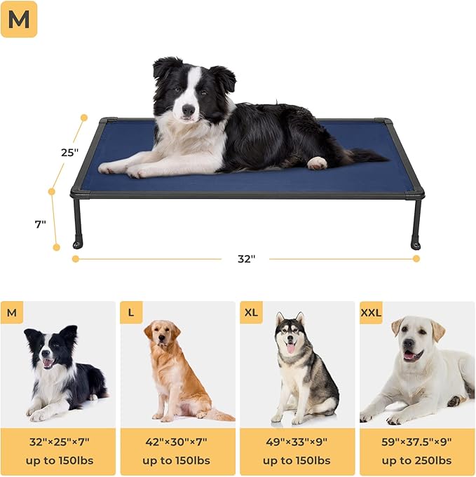 Veehoo Chewproof Elevated Dog Bed - Cooling Raised Pet Cot, Breathable Mesh, Washable & Non-Slip for Medium Dogs, Indoor/Outdoor, Blue Mat and Black Frame, 32x25inches (Model CWC2203A03)