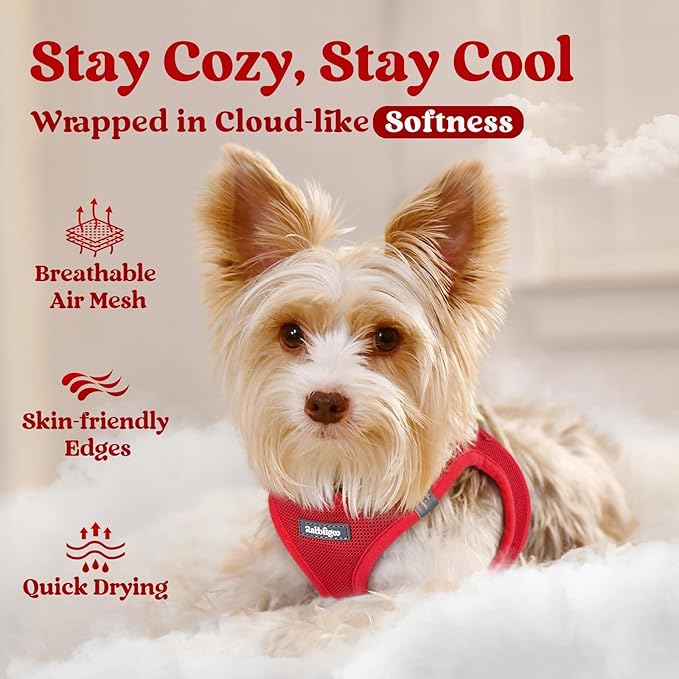 rabbitgoo Small Dog Harness, Step-in Soft Mesh Puppy Vest with Safety Buckle, Breathable Reflective Pet Harness for Small Sized Dogs, Red XS