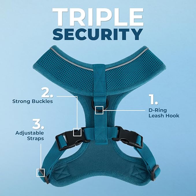 Best Pet Supplies Voyager Aerolite No Pull Mesh Dog Harness, Reflective Stitching, Breathable Harness, Adjustable for Walking, Training, Running, Heavy Duty and Durable, Turquoise, L