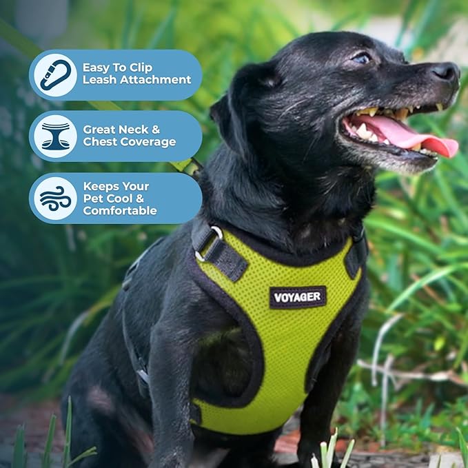 Voyager Step-in Pet Harness - All Weather Mesh, Adjustable Step in Harness for Cats and Dogs by Best Pet Supplies - Lime Green/Black Trim, M