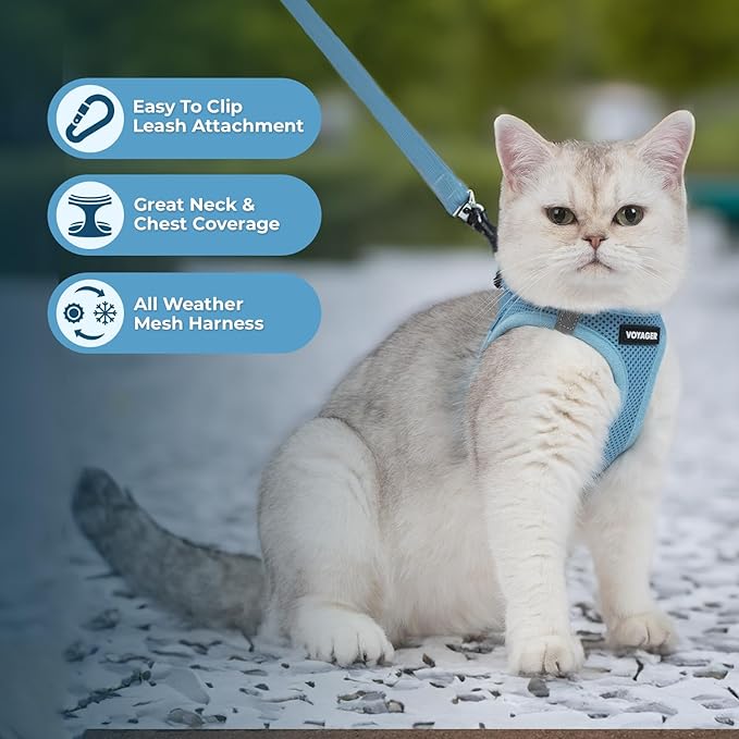 Voyager Step-in Air Cat Leash Harness Set - All Weather Mesh, Step in Vest Harness for Small and Large Cats by Best Pet Supplies - Baby Blue, S (Chest 14-16")
