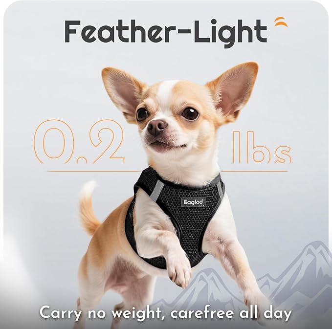 Eagloo Small Dog Harness and Leash Set, Step in Puppy Vest with Breathable Soft Mesh, Walking Reflective Pet Harness for Small Dogs, Black, S