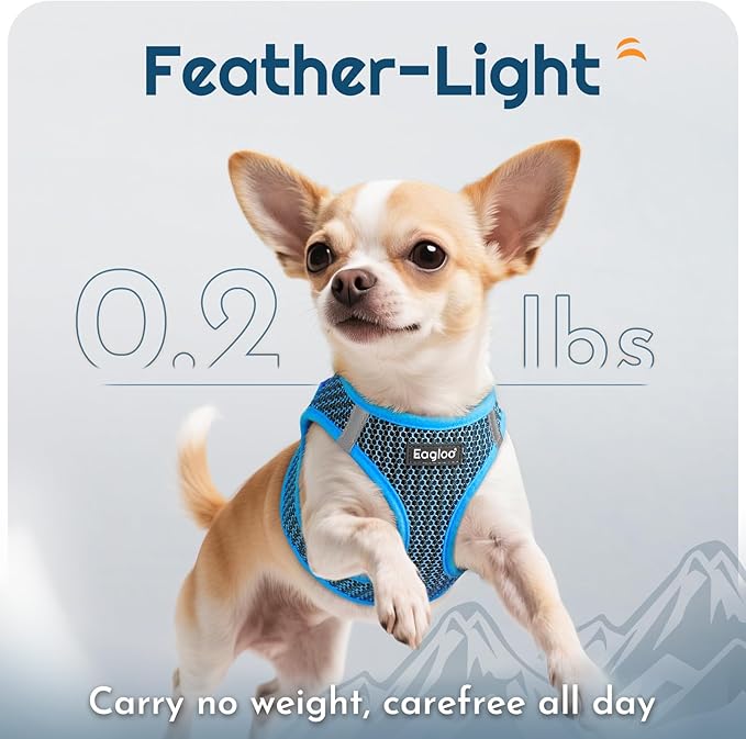 Eagloo Small Dog Harness and Leash Set, Step in Puppy Vest with Breathable Soft Mesh, Walking Reflective Pet Harness for Small Dogs, Blue, XS