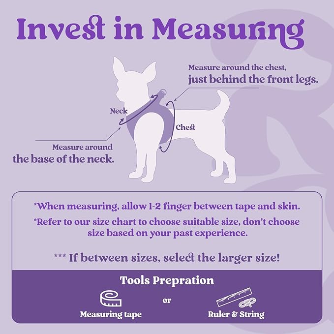 rabbitgoo Small Dog Harness, Step-in Soft Mesh Puppy Vest with Safety Buckle, Breathable Reflective Pet Harness for Extra Small Dogs, Purple XXS