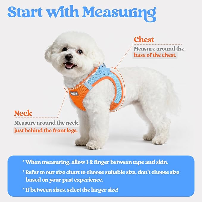 rabbitgoo Dog Harness Small Sized and Leash Set, Step in Soft Light Puppy Vest, Breathable Mesh Pet Harness, Reflective for Safe Easy Walking, Blue & Orange XXS