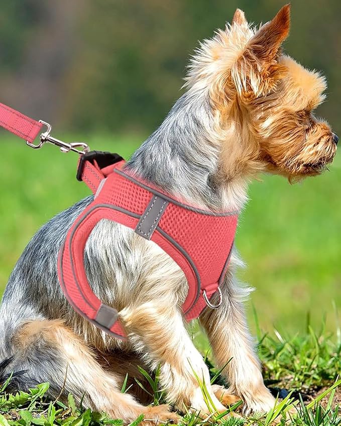 Joytale Small Dog Harness, Breathable Mesh Step-in Vest, Reflective Soft Padded Harnesses Small Sized Dog for Walking, Pink, S