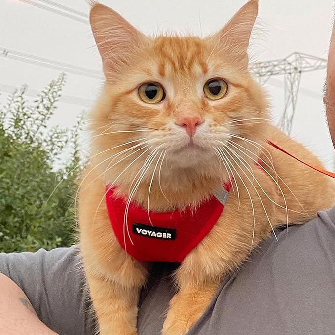 Voyager Step-in Pet Harness - All Weather Mesh, Adjustable Step in Harness for Cats and Dogs by Best Pet Supplies - 307S Red, XS