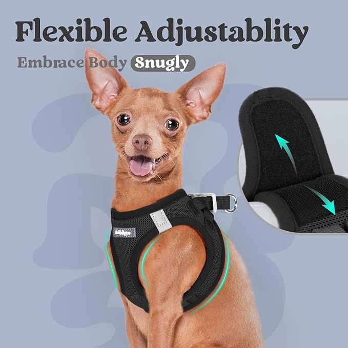 rabbitgoo Small Dog Harness, Step-in Soft Mesh Puppy Vest with Safety Buckle, Breathable Reflective Pet Harness for Large Dogs, Black XXL