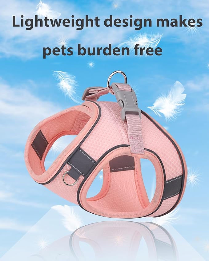 Dog Harness for Small Medium Sized Dog, Step in Puppy Harness and Leash Set Training Walking. (Peach, M)