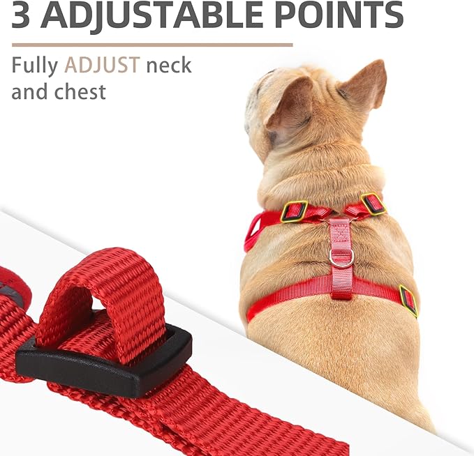 PUPTECK Small Dog Harness and Leash Set, No Pull Adjustable Puppy Cat Harness, Reflective Soft Mesh Pet Vest Small Sized