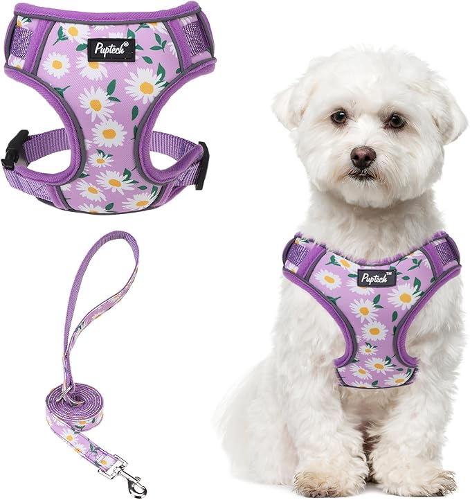 PUPTECK Small Dog Harness and Leash Set, No Pull Adjustable Puppy Cat Harness, Reflective Soft Mesh Pet Vest Small Sized